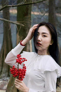 多平台支持示意图